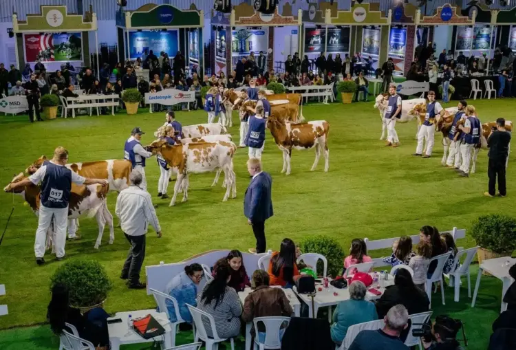 ExpoFrísia tem nova data a partir de 2026