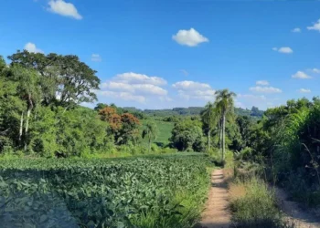 Comissão dá aval a proposta que enquadra chácara como propriedade rural e garante novos benefícios