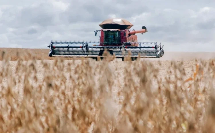 Adapec completa 27 anos com avanços na defesa agropecuária e apoio ao produtor