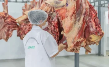 Selo de Inspeção Federal habilita frigorífico de Palmas a comercializar em todo o país