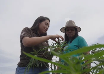 Sistema FAET/SENAR apresenta balanço anual de ações em 2025