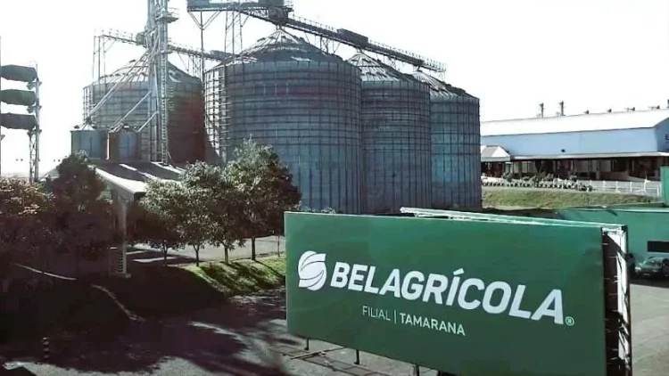 Belagrícola pede recuperação extrajudicial e propõe forte deságio a produtores; especialistas veem risco