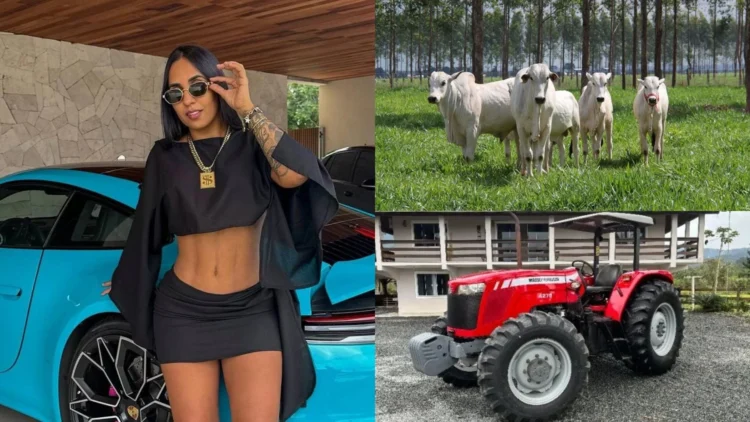 Caso Karol Digital: Justiça do Tocantins manda leiloar gado, cavalos de raça e maquinários agrícolas de alto valor