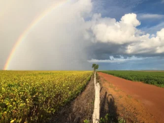 Comunidades rurais do Tocantins vivem insegurança alimentar por falta de plano de manejo em APAs