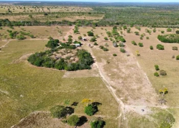 Tocantins aparece entre os principais destinos na alta de 38% na procura por imóveis rurais em dezembro