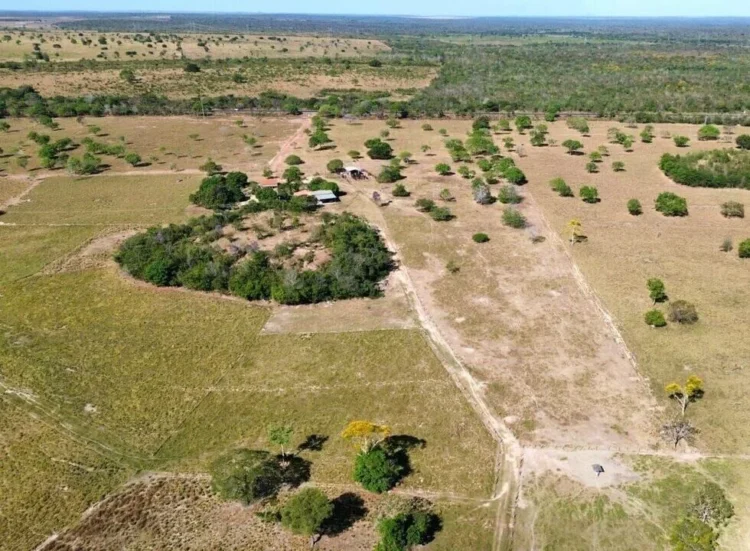Tocantins aparece entre os principais destinos na alta de 38% na procura por imóveis rurais em dezembro