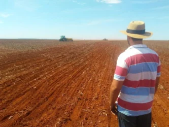 Crise na safra: presidente da Aprosoja MT diz que 2025 pode ser o ano mais desafiador para a soja