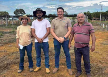 Projeto Reniva chega a Monte do Carmo com foco na produção de mandioca no município