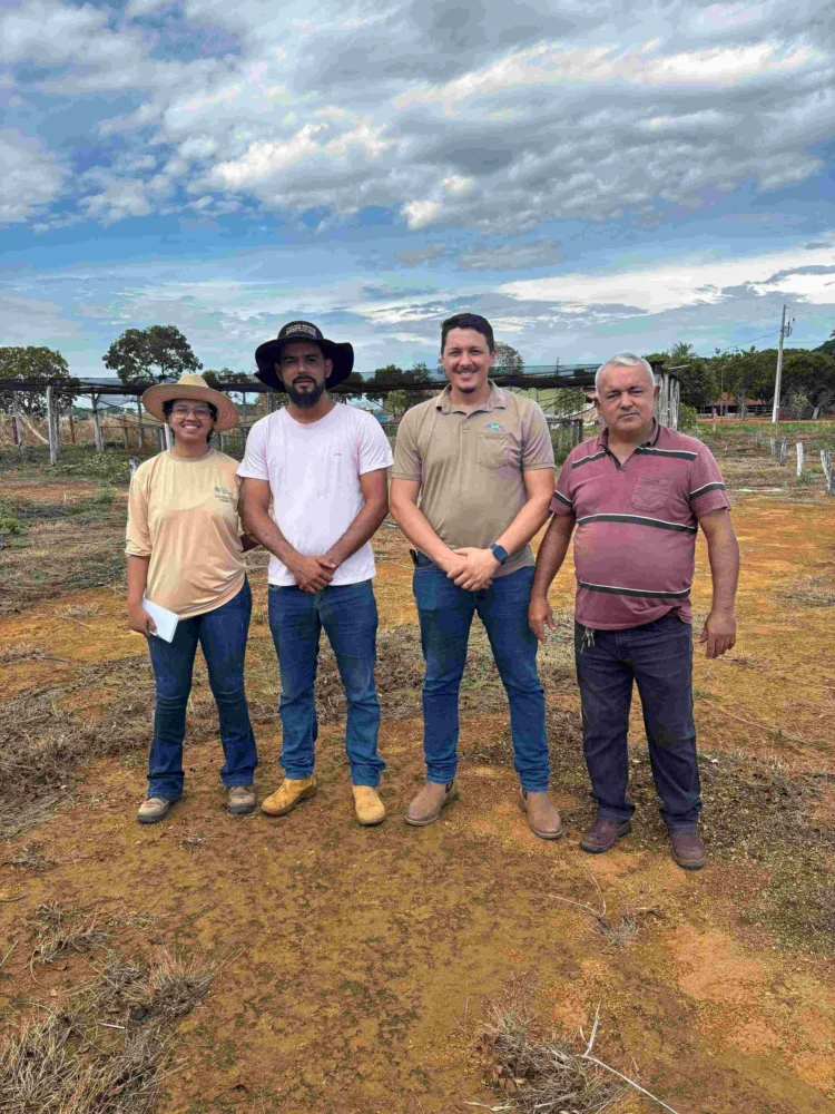 Projeto Reniva chega a Monte do Carmo com foco na produção de mandioca no município