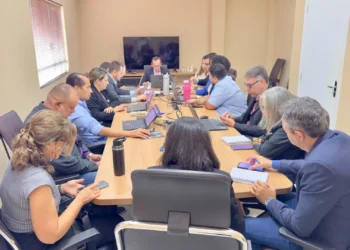 CRMV-TO realiza primeira plenária da nova gestão