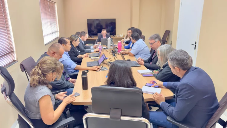 CRMV-TO realiza primeira plenária da nova gestão