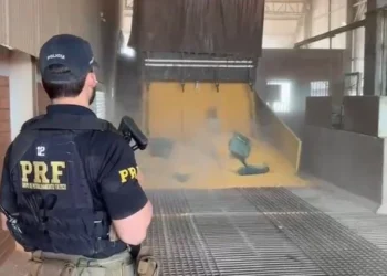 PRF intercepta caminhão com carga de milho e apreende quase meia tonelada de cocaína no norte do Tocantins