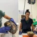 Após sete meses de cuidados, jabuti encontrado sob piso de casa retorna à natureza