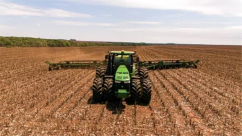 Com cinco estados concluídos, plantio da soja 25/26 atinge 94,1% da área nacional