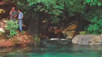 Justiça condena Prefeitura e Estado a recuperar área degradada no Rio Azuis, em Aurora do Tocantins