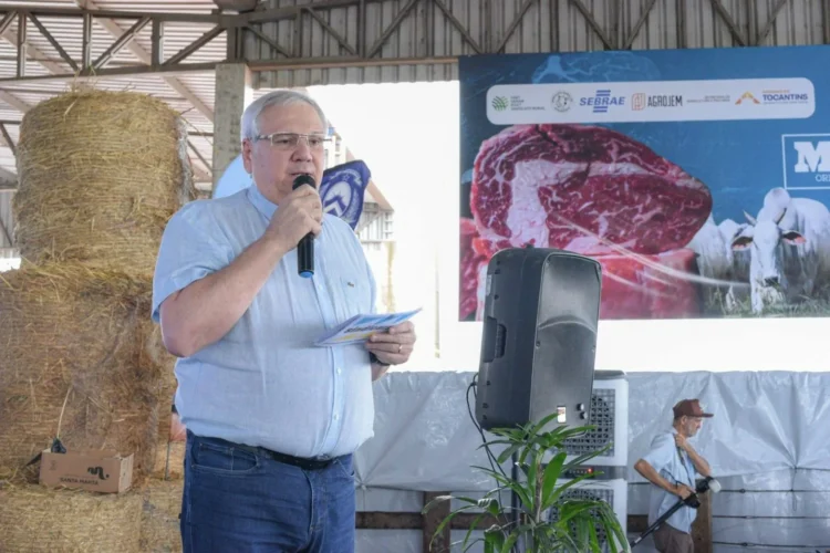 União da cadeia da pecuária é essencial para melhorar remuneração e acessar novos mercados, afirma Sindicarnes-TO