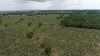 Fazendeiro recebe multa superior a R$ 1,6 milhão por desmatamento ilegal em reserva legal