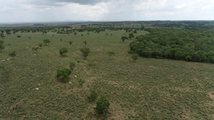 Fazendeiro recebe multa superior a R$ 1,6 milhão por desmatamento ilegal em reserva legal