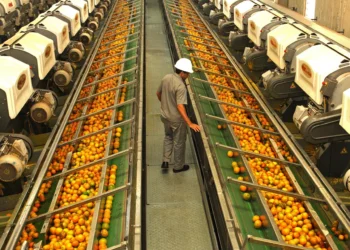 Acordo Mercosul–UE pode adicionar R$ 1,3 bilhão às exportações brasileiras de suco de laranja