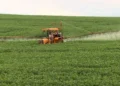 Governo anuncia plano para substituir agrotóxicos ultraperigosos por produtos menos tóxicos