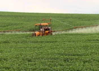 Governo anuncia plano para substituir agrotóxicos ultraperigosos por produtos menos tóxicos