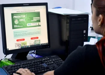 Pecuaristas do Tocantins podem emitir gratuitamente extrato de movimentação do rebanho