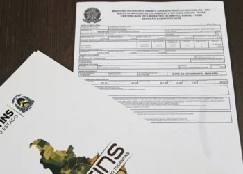 Acordo com Governo Federal permite emissão do CCIR durante titulação de terras no Tocantins