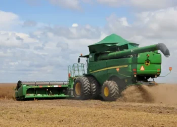 Tocantins projeta safra recorde de grãos em 2025/2026, com 5,75 milhões de toneladas de soja, aponta a Seagro