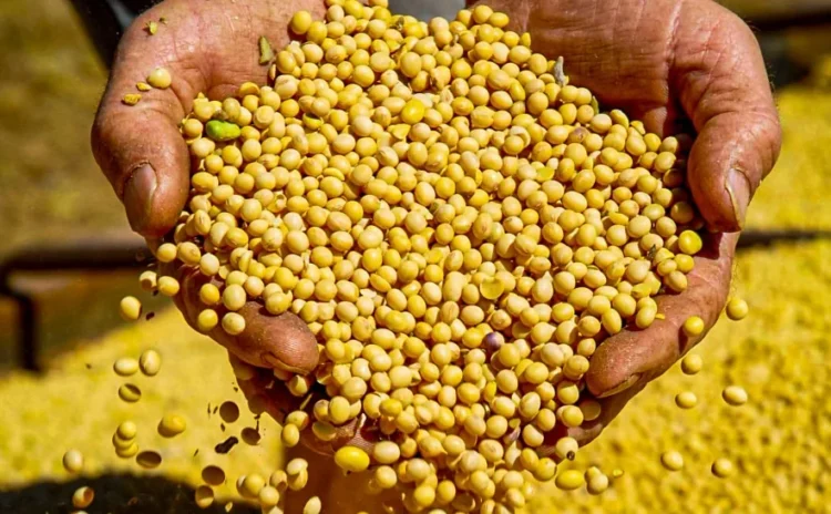 Exportações do Tocantins superam US$ 3 bilhões em 2025 e colocam o estado em 3º lugar no Norte