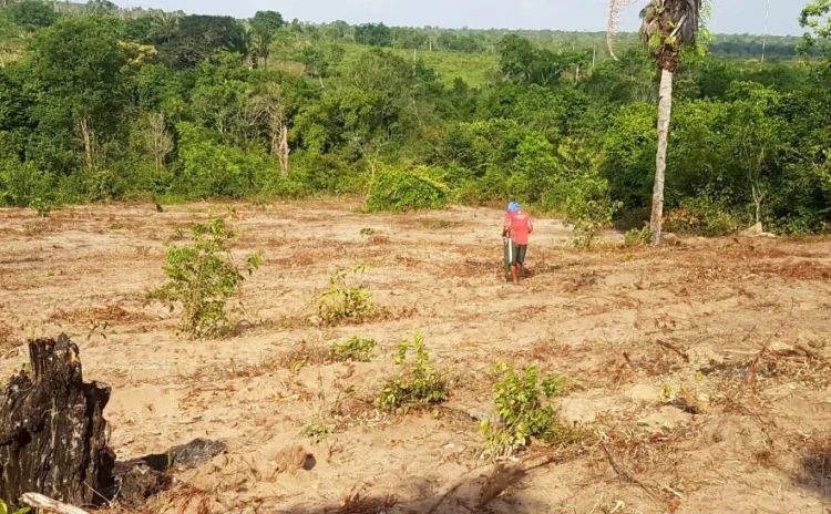 Tocantins firma 304 contratos e fica em 4º lugar no ranking do Crédito Fundiário