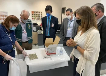 Novas regras do Mapa para produtos agropecuários na bagagem entram em vigor em fevereiro