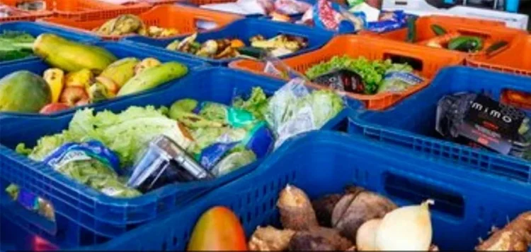 Prefeitura de Palmas prorroga credenciamento de agricultores familiares no PAA com aporte de R$ 500 mil