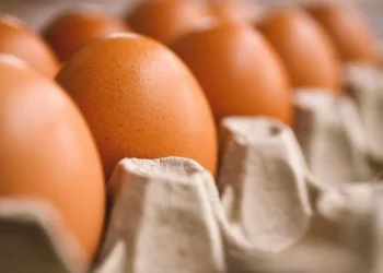 Mesmo com consumo fraco, preços dos ovos sobem até 60% no início de janeiro