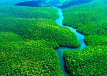 Com foco em renda no campo, Porto Nacional adere ao programa Floresta+ Amazônia