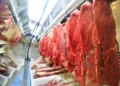Exportações de carne bovina do Brasil somam US$ 18 bilhões em 2025, recorde histórico