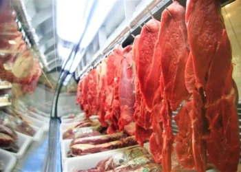Exportações de carne bovina do Brasil somam US$ 18 bilhões em 2025, recorde histórico