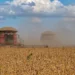 Calorão trava colheita de soja e mantém índice abaixo de 1% em município de MS
