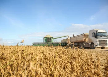 Safra de grãos avança em área no MATOPIBA, mas produção apresenta ritmos distintos