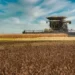 Com avanço de 2%, colheita de soja no Brasil depende do clima e segue desigual entre estados