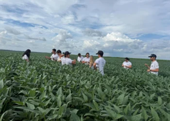 Expedição técnica da Esalq/USP, que roda o Brasil, conhece potencial produtivo de Pedro Afonso