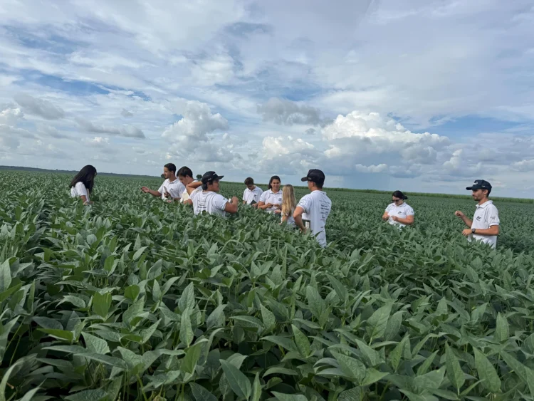 Expedição técnica da Esalq/USP, que roda o Brasil, conhece potencial produtivo de Pedro Afonso