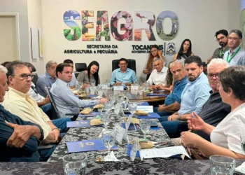 Setor produtivo e governo alinham ações para fortalecer o agronegócio no Tocantins