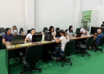 Preservar a floresta pode garantir renda extra ao produtor rural do Tocantins