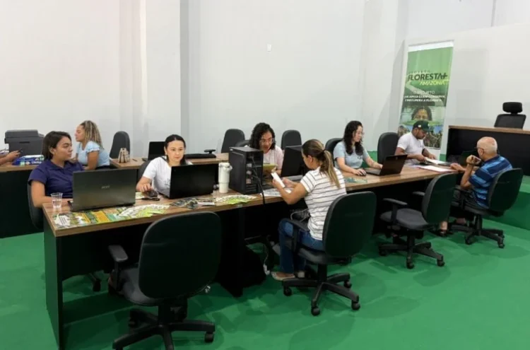 Preservar a floresta pode garantir renda extra ao produtor rural do Tocantins