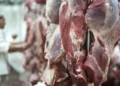 Frigoríficos buscam alternativa para cota da China na exportação de carne