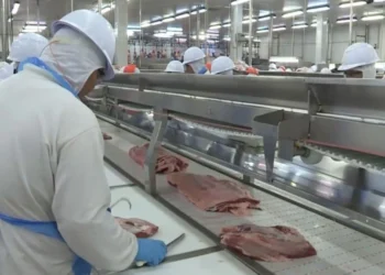 Produtor tem até 31 de janeiro para optar pelo desconto em folha do Funrural