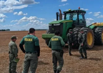 Após 18 anos de bloqueio, Justiça derruba embargos do Ibama e libera fazenda no Matopiba