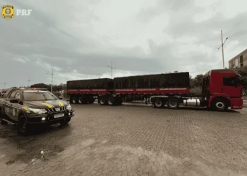 Apreensão de madeira irregular na BR-010, em Palmas, resulta em prisão por documento falso