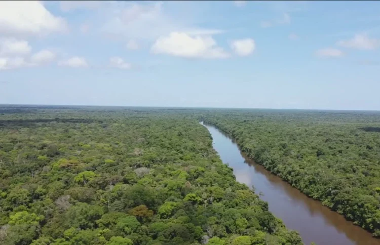 Mesmo com queda de 9%, alertas de desmatamento somam mais de 3,3 mil km² no Matopiba