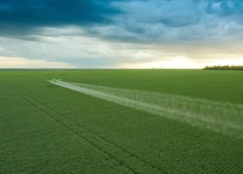 Usina de etanol de milho da Inpasa na Bahia recebe R$ 950 milhões do BNDES